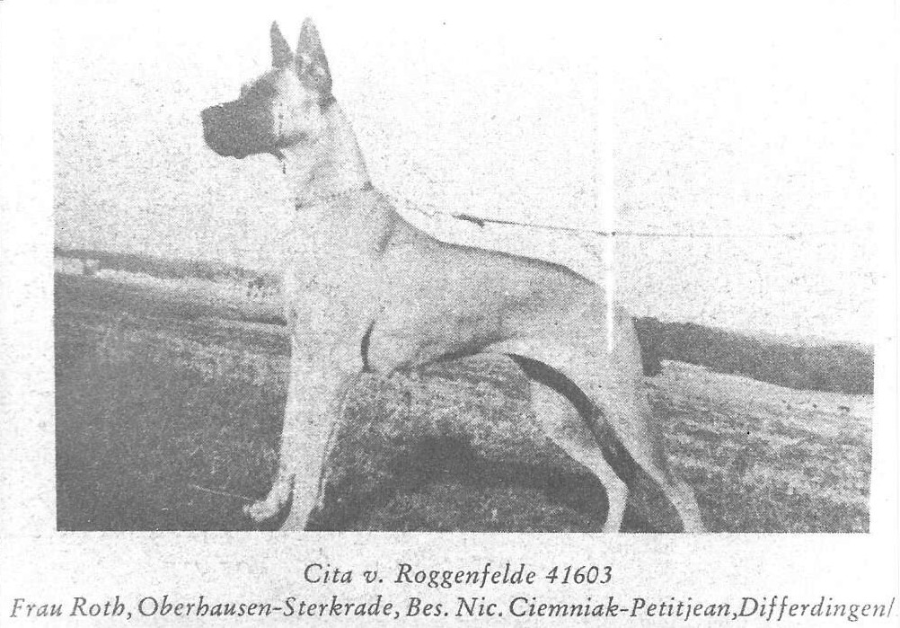 Cita v Roggenfelde